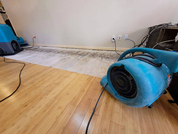 Reliable Water Damage Repair contractor in Asheville, NC by Hirex Water Damage