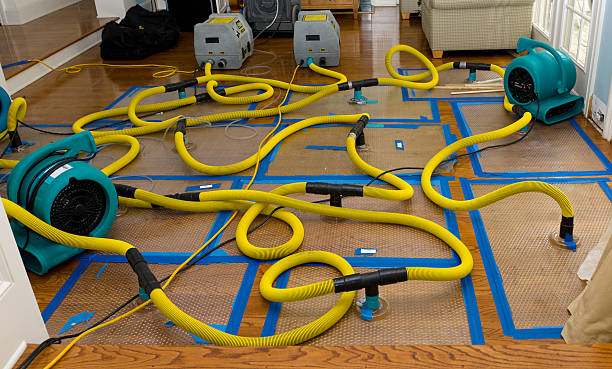 Professional Water Damage Repair technician working in Asheville, NC