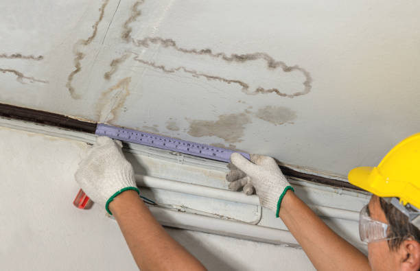 Affordable Water Damage Repair solutions in Asheville, NC